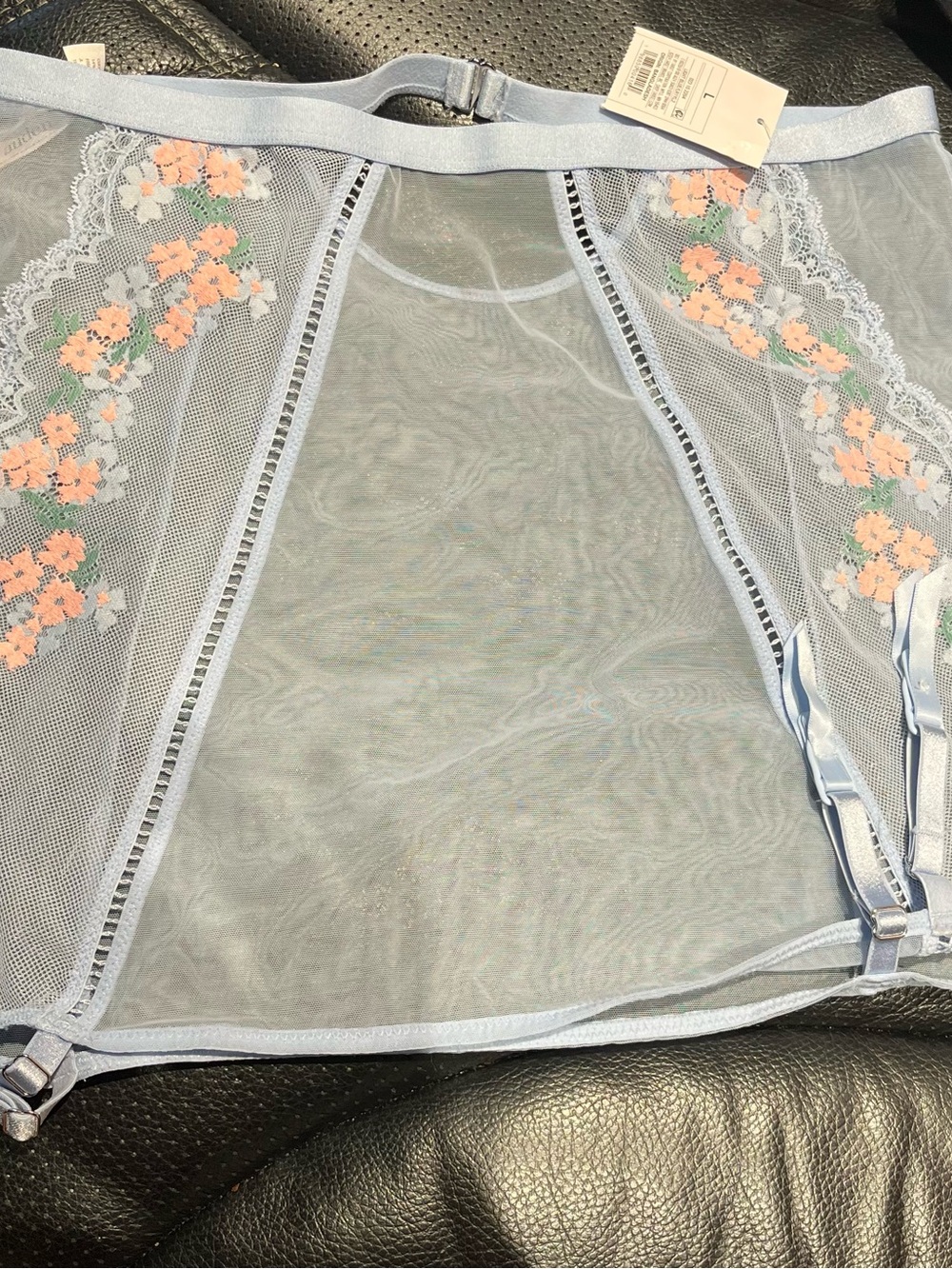 Auden Light Blue Sheer Mesh Coquette Garter Slip with Peach Floral Embroidery.